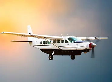 aircraft management